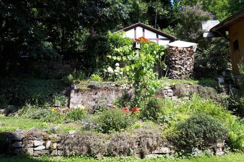 Eine Gemuetliche Ferienwohnung Mit Garten Bad Karlshafen Zewnętrze zdjęcie
