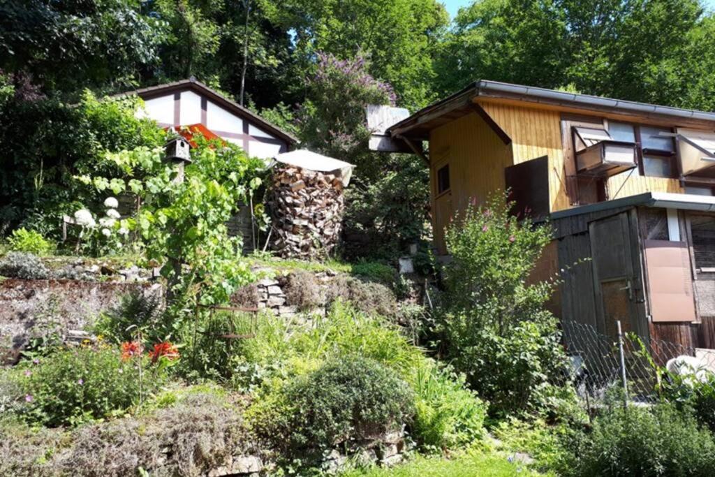 Eine Gemuetliche Ferienwohnung Mit Garten Bad Karlshafen Zewnętrze zdjęcie
