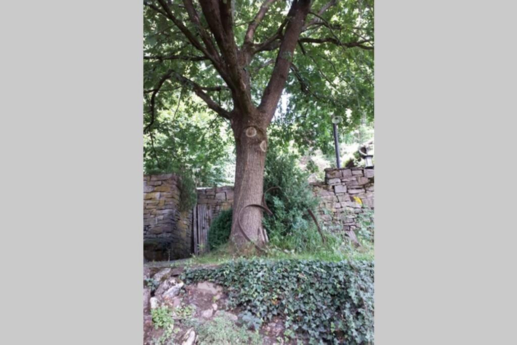 Eine Gemuetliche Ferienwohnung Mit Garten Bad Karlshafen Zewnętrze zdjęcie