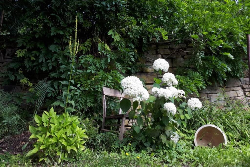 Eine Gemuetliche Ferienwohnung Mit Garten Bad Karlshafen Zewnętrze zdjęcie